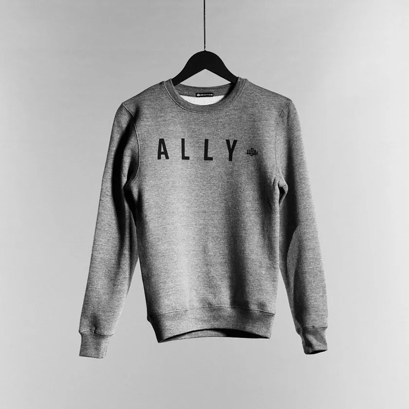 Ally Crew Neck Sweater | Grey