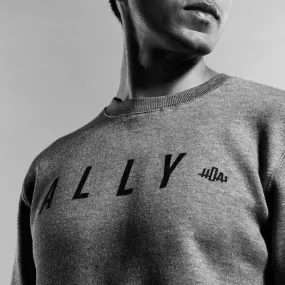 Ally Crew Neck Sweater | Grey