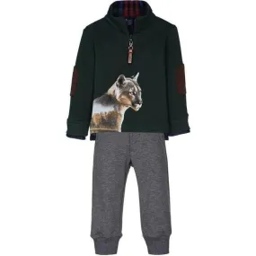 Boys Printed Tiger Tracksuit