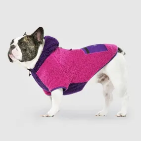 Canada Pooch Cool Factor Hoodie in Pink & Purple