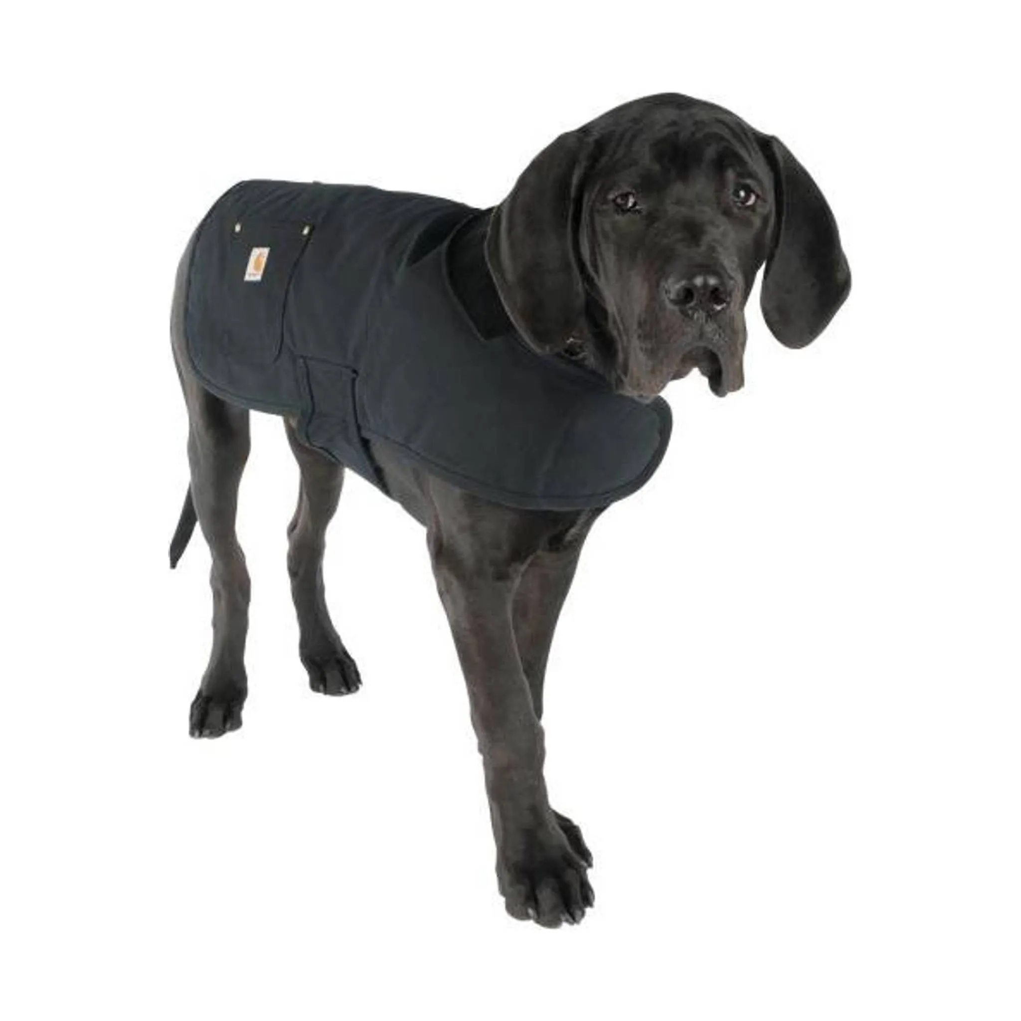 Carhartt Firm Duck Insulated Dog Chore Coat - Black