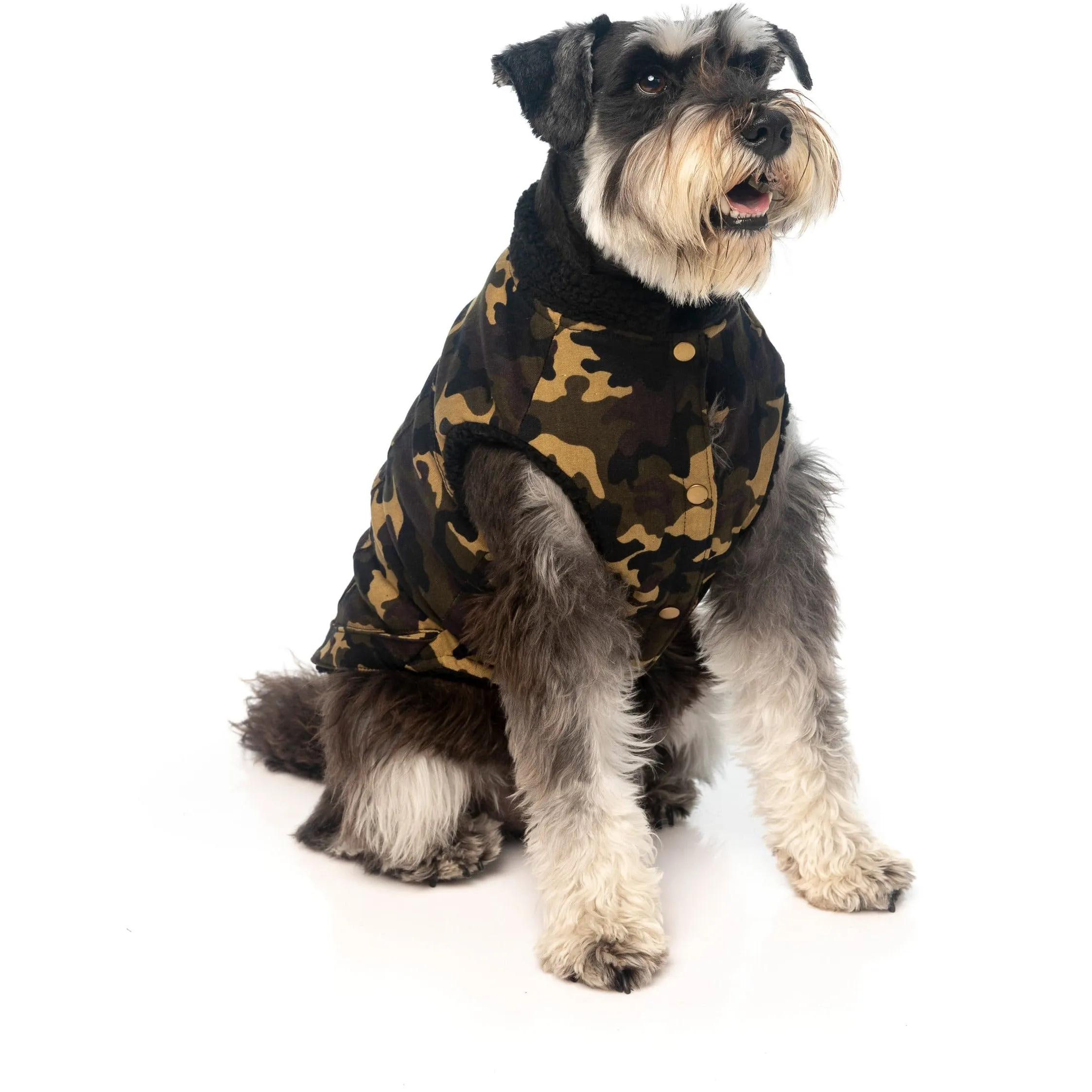 G.I Dog Jacket