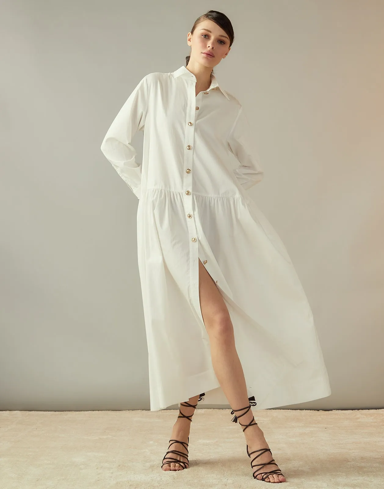 Perennial Shirt Dress