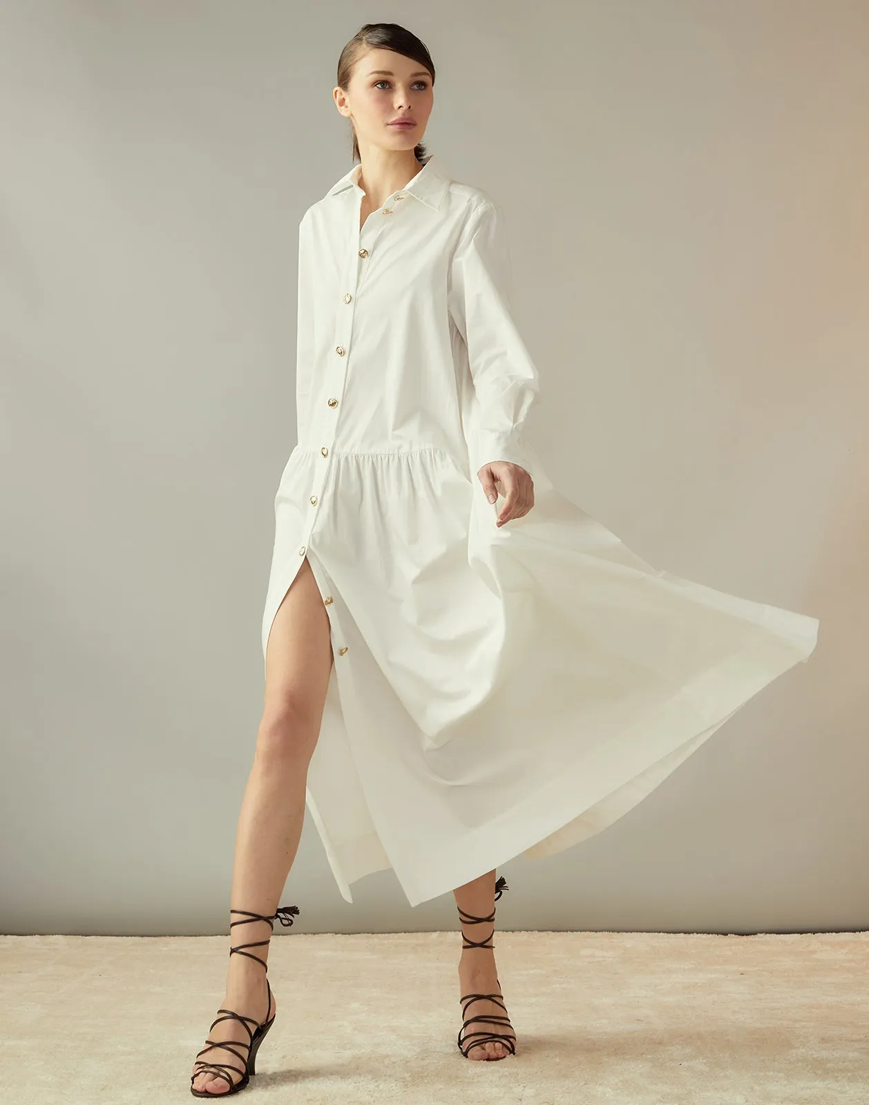 Perennial Shirt Dress