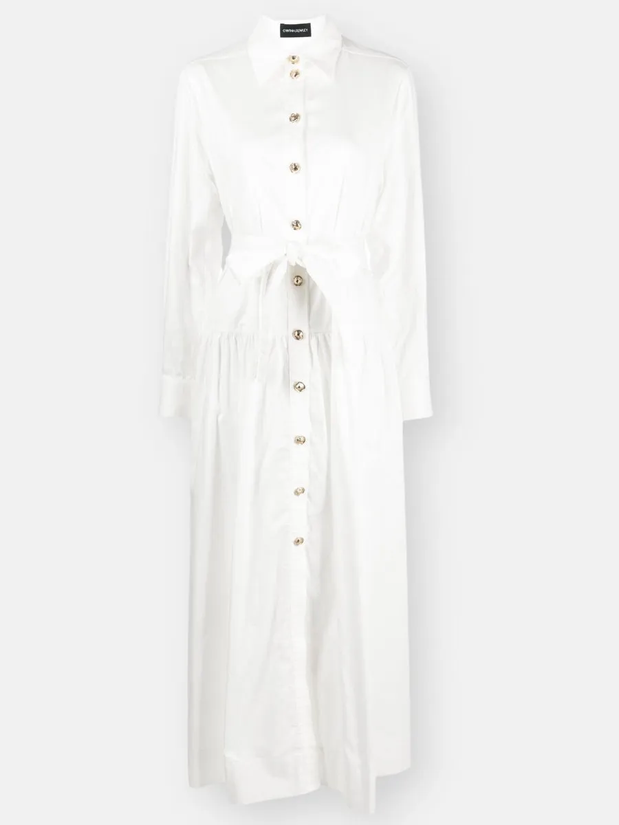 Perennial Shirt Dress