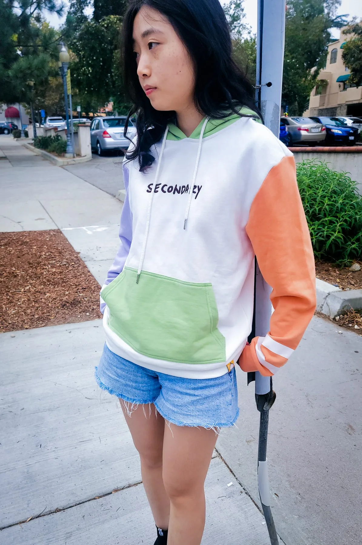 SECONDARY COLORS hoodie