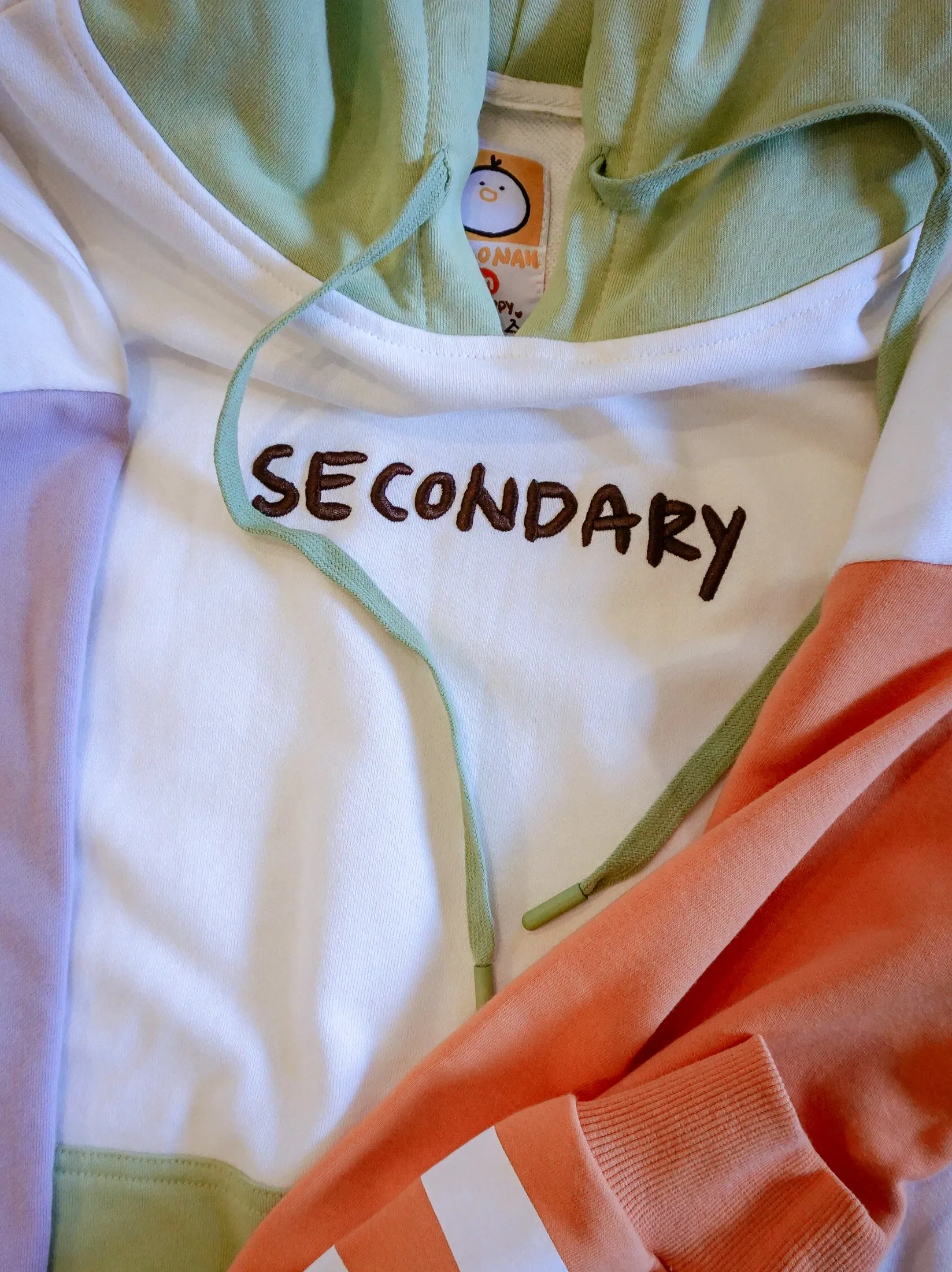 SECONDARY COLORS hoodie